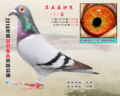 安徽百太决赛121名
