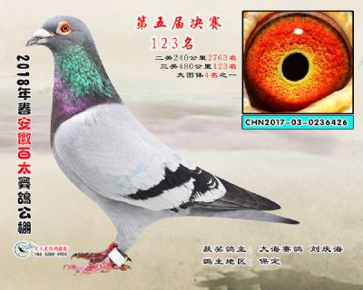 安徽百太决赛123名