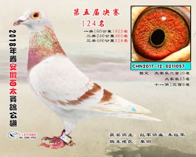 安徽百太决赛124名
