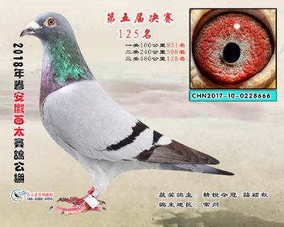 安徽百太决赛125名