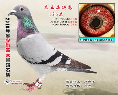 安徽百太决赛126名