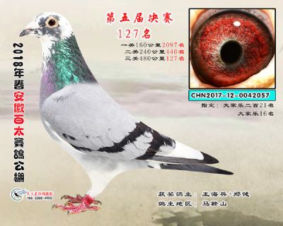 安徽百太决赛127名