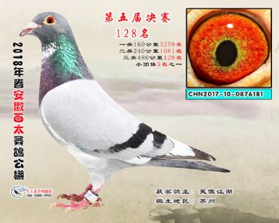 安徽百太决赛128名
