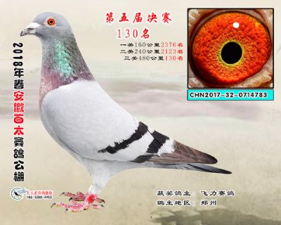 安徽百太决赛130名