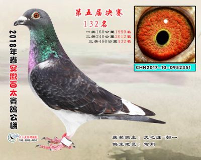 安徽百太决赛132名