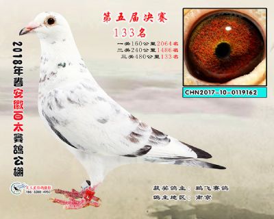 安徽百太决赛133名