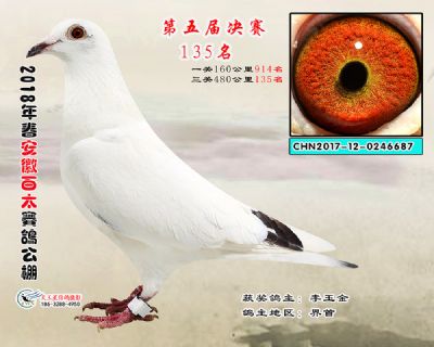 安徽百太决赛135名