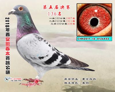 安徽百太决赛136名