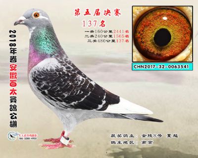 安徽百太决赛137名