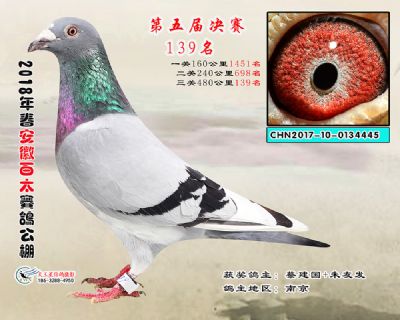 安徽百太决赛139名