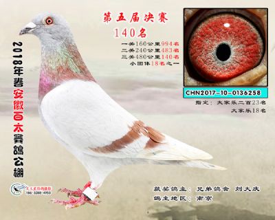 安徽百太决赛140名