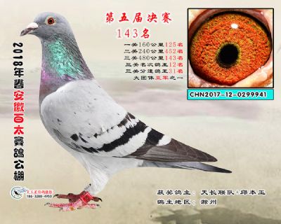 安徽百太决赛143名