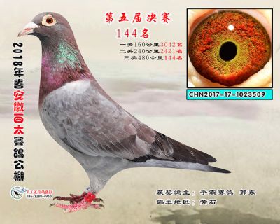 安徽百太决赛144名