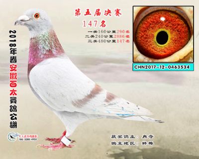 安徽百太决赛147名
