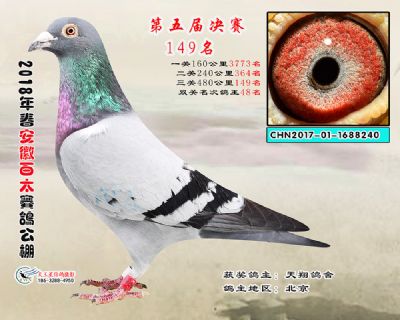 安徽百太决赛149名