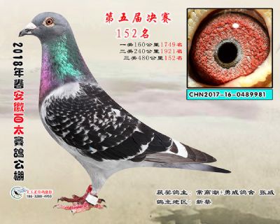 安徽百太决赛152名