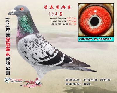 安徽百太决赛154名