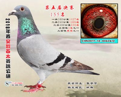 安徽百太决赛155名
