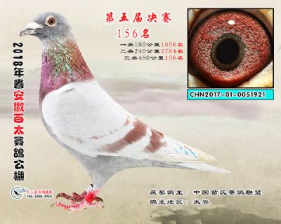 安徽百太决赛156名