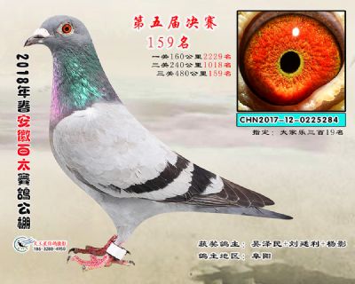 安徽百太决赛159名