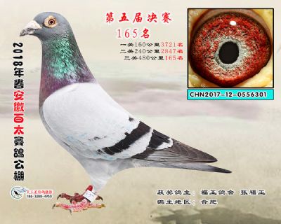 安徽百太决赛165名