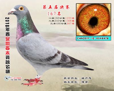 安徽百太决赛167名