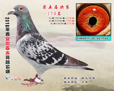 安徽百太决赛170名
