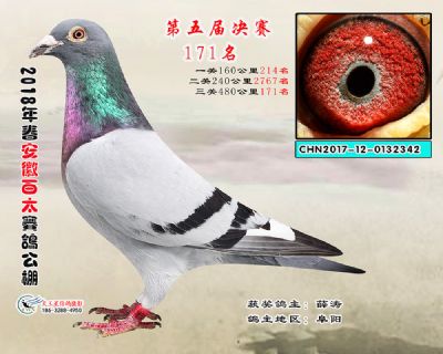 安徽百太决赛171名