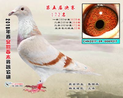 安徽百太决赛172名