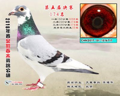 安徽百太决赛174名