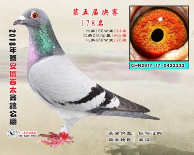 安徽百太决赛178名