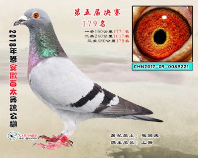 安徽百太决赛179名
