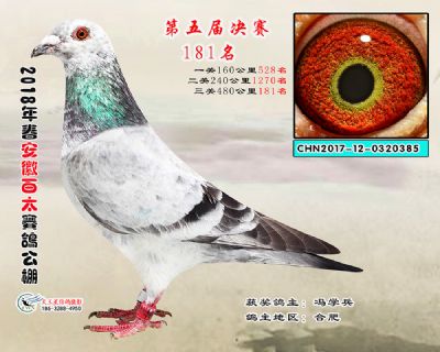 安徽百太决赛181名