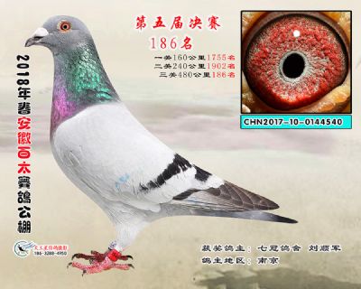 安徽百太决赛186名