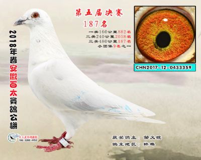 安徽百太决赛187名