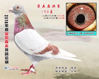 安徽百太决赛190名