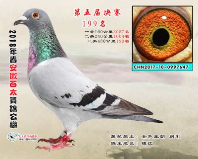 安徽百太决赛199名