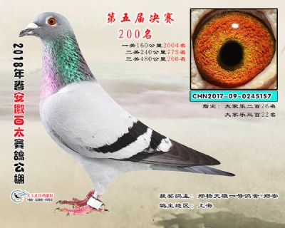 安徽百太决赛200名