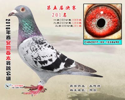 安徽百太决赛201名