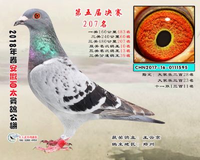 安徽百太决赛207名