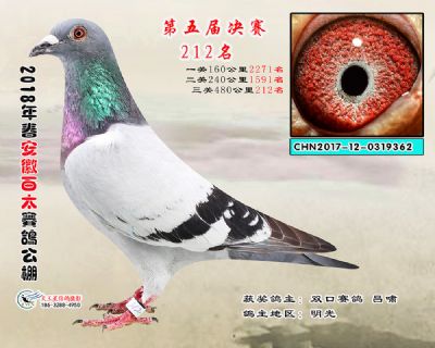 安徽百太决赛212名
