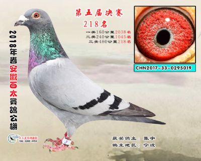 安徽百太决赛218名