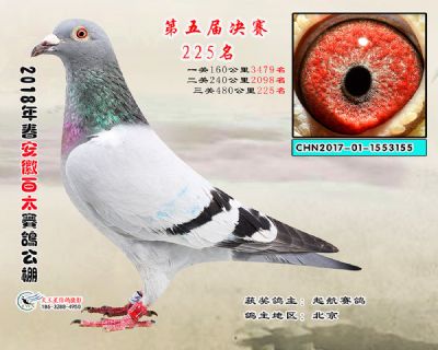 安徽百太决赛225名