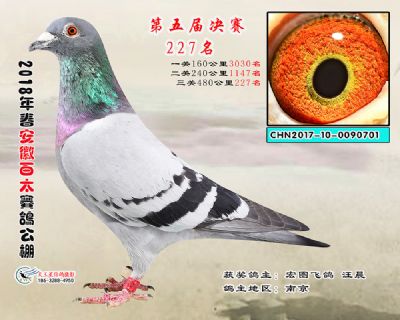 安徽百太决赛227名