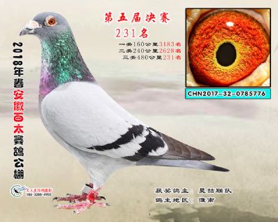安徽百太决赛231名