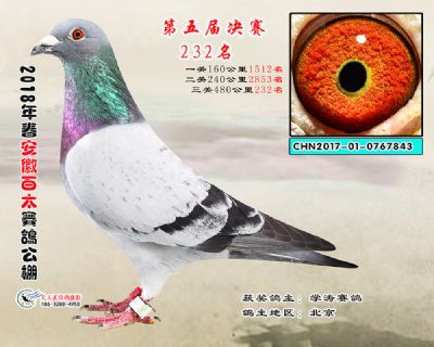 安徽百太决赛232名
