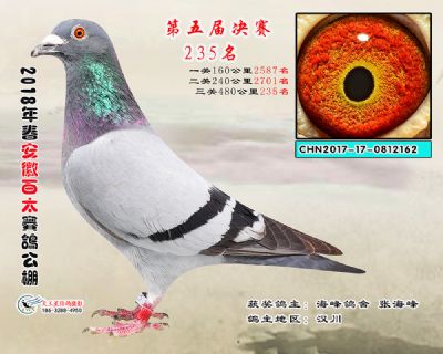 安徽百太决赛235名