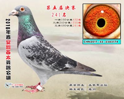 安徽百太决赛241名