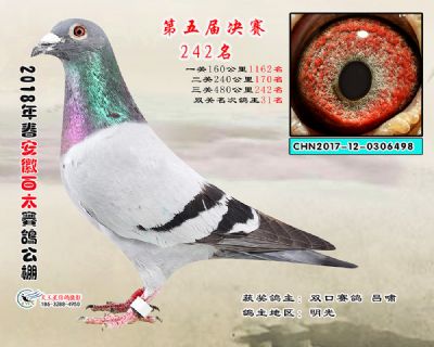 安徽百太决赛242名