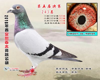 安徽百太决赛243名
